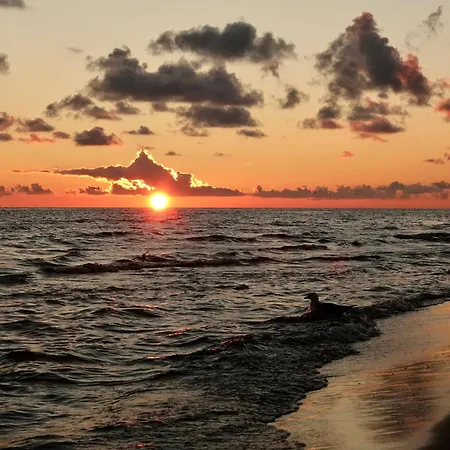 Mierzeja -trimare, Sztutowo