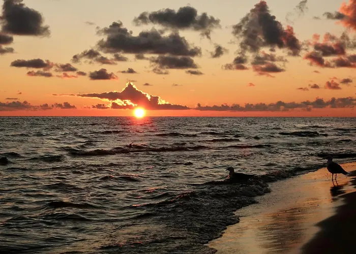 Mierzeja -trimare, Sztutowo